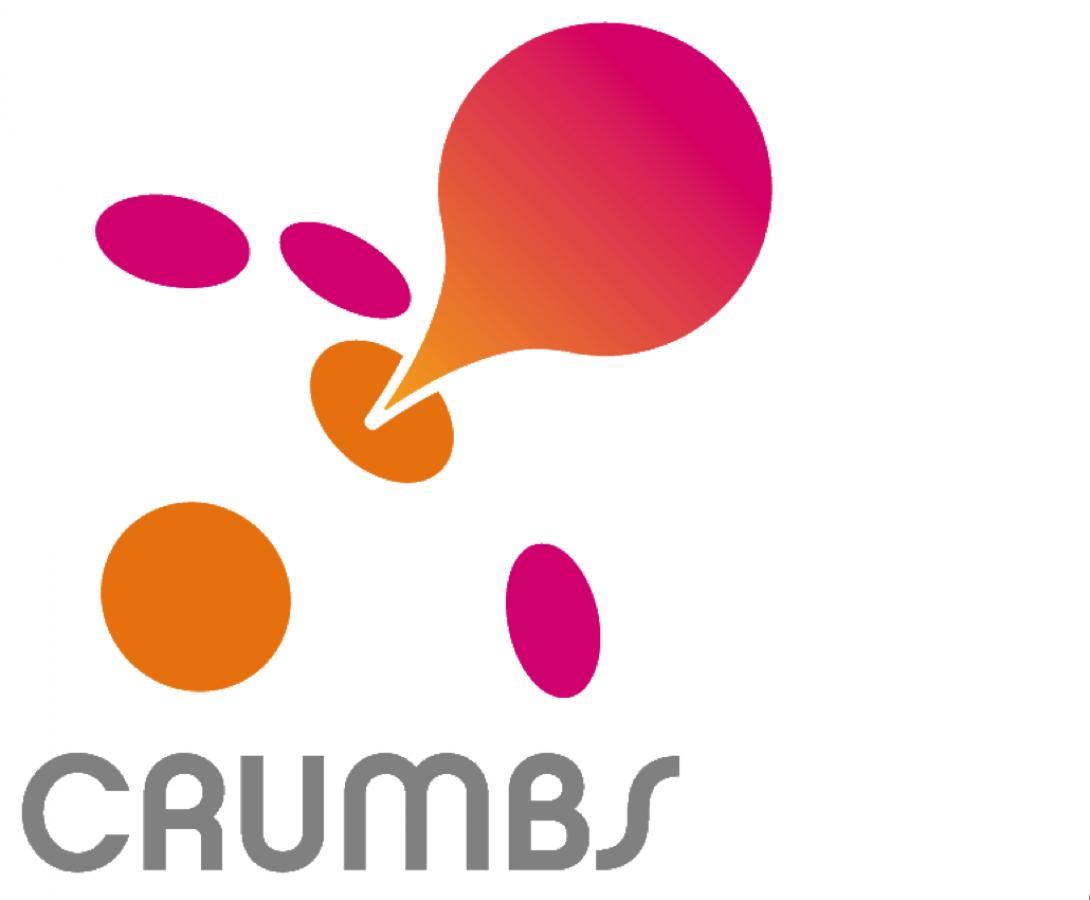 Proyecto Crumbs